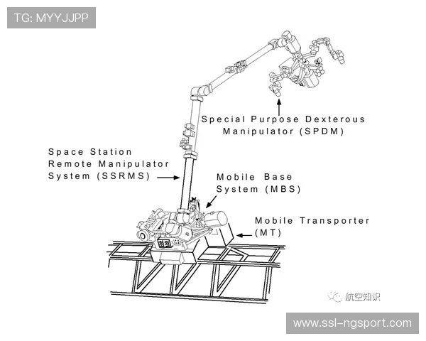 体育直播系统与元宇宙空间的初步融合 开启了虚拟赛场观赛的全新交互模式